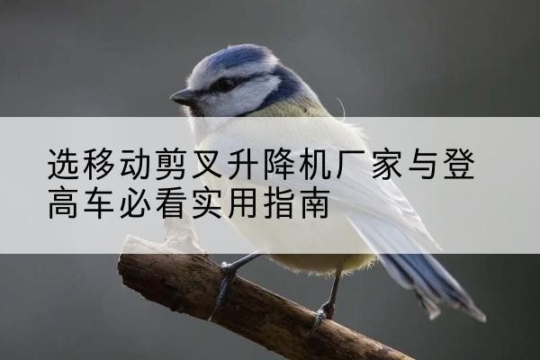 新晃电动升降机厂家-选移动剪叉升降机厂家与登高车必看实用指南