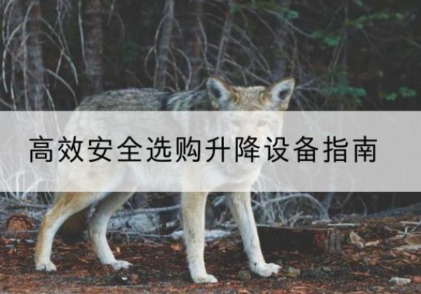 新晃升降货梯厂家推荐-*安全选购升降设备指南