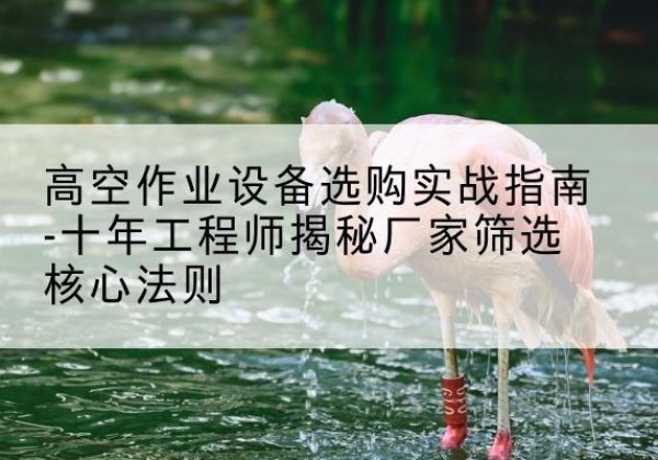 新晃剪叉式升降机厂家-高空作业设备选购实战指南-十年工程师揭秘厂家筛选核心法则