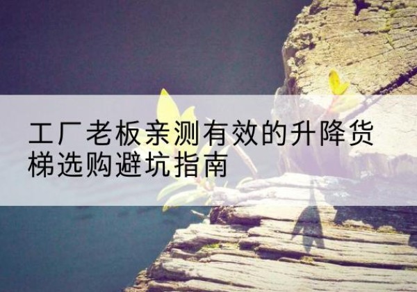 新晃升降货梯怎么选-工厂老板亲测有效的升降货梯选购避坑指南